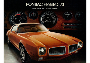 1973 Pontiac Firebird CN