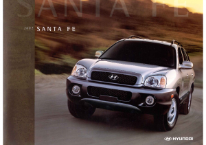 2002 Hyundai Santa Fe