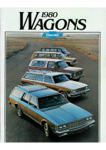 1980 Chevrolet Wagons